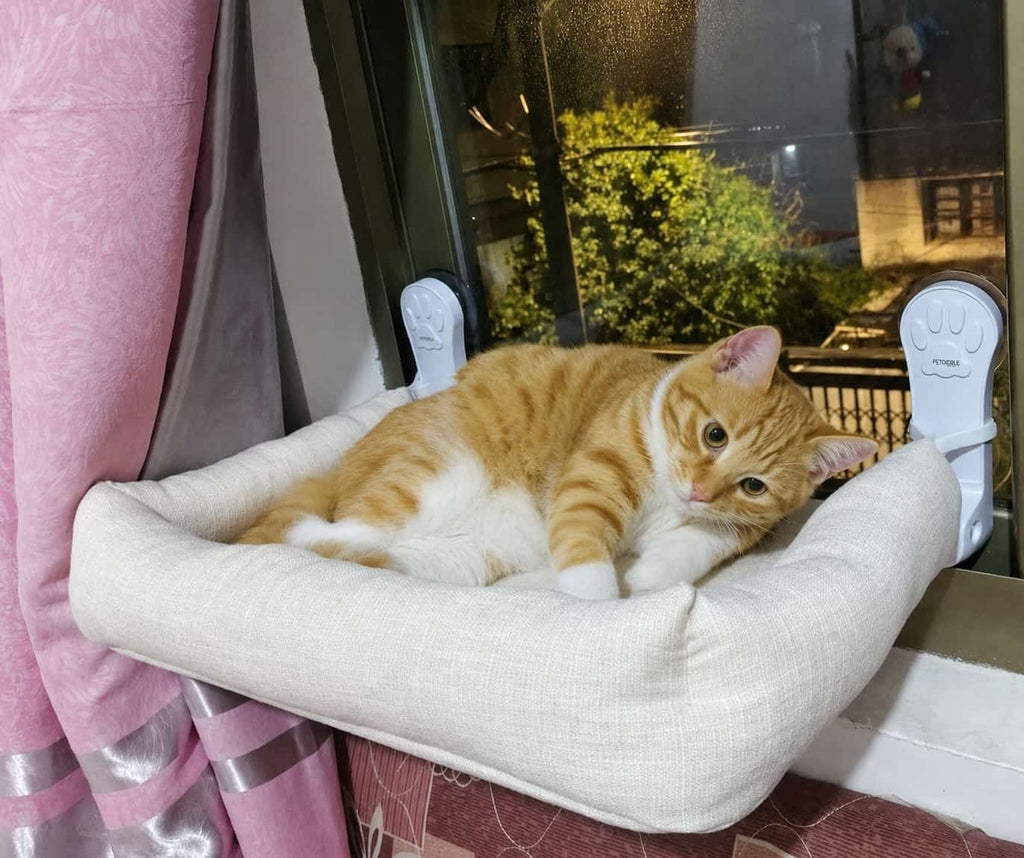 Cat Window Hammock — Suction Cup Wall Mount, Foldable & Washable
