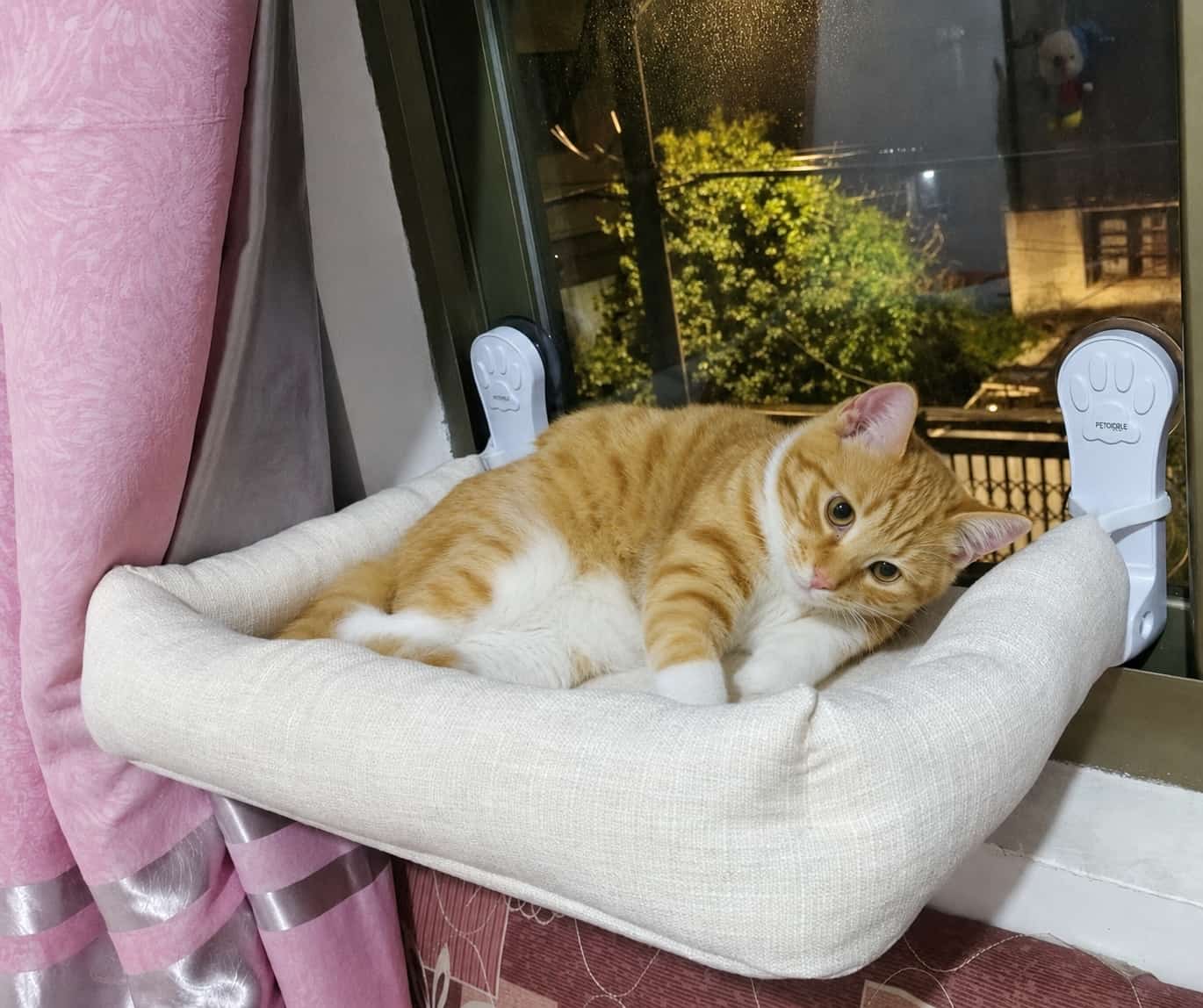 Cat Window Hammock — Suction Cup Wall Mount, Foldable & Washable
