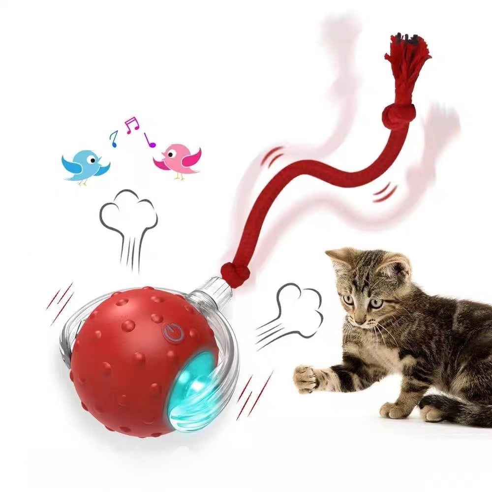 Interactive Cat Toy Ball — Auto Mode, Feather & Sound, 4 Styles
