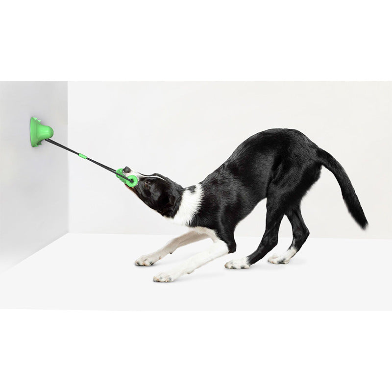 Dog Suction Cup Tug Toy — Molar Bite Rope & Tooth Cleaning
