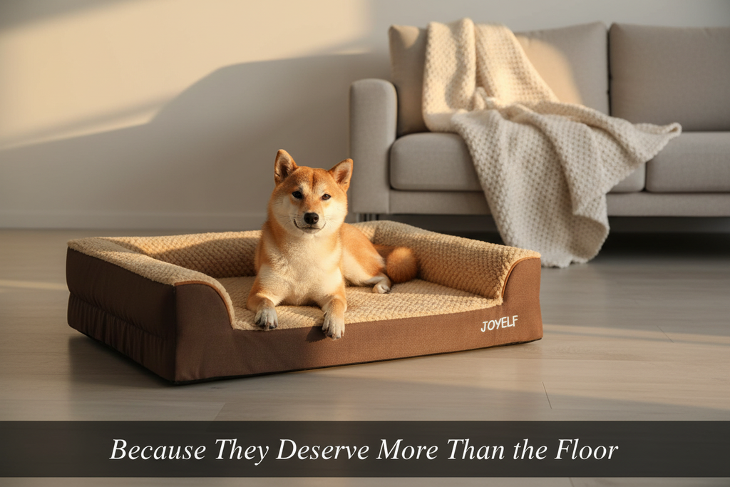 Shiba Inu — no logo